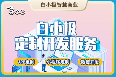 白小极平台一站式智慧零售微信小程序营销拓客销售软件定制开发