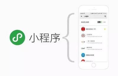 怎样利用定制开发的小程序来获取流量?