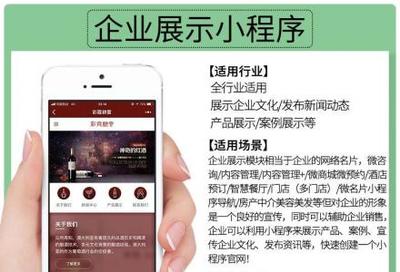 小程序定制开发、微信公众号、推广排名、吸粉