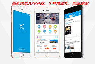 【临沂app应用开发网站建设小程序制作】-