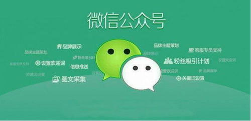 深圳微信小程序定制开发简介