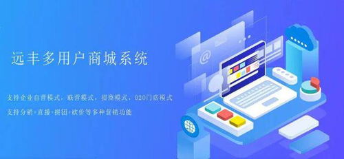 开发定制商城比较好的公司