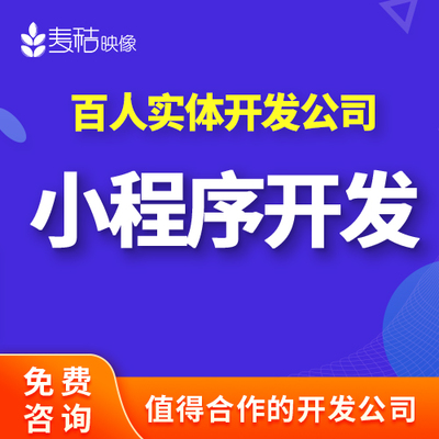 麦秸映像IT开发-微信/小程序/app的服务